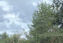 Manifestation à Boffa : la situation prend une autre tournure, 3 personnes touchées par balles