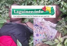 Siguiri : deux petites filles meurent par noyade à Mignada