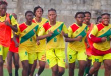 Mondial dames 2024 : la liste des 20 joueuses sélectionnées pour la double confrontation contre le Niger
