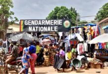 N’Zérékoré : plusieurs détenteurs de pharmacies non agréées interpelés par l’escadron mobile