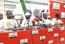 UFDG : Les membres du CNJ du Parti annoncent la célébration des 16 ans de leadership de Cellou Dalein