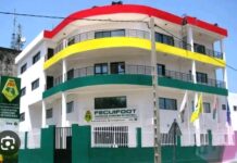 FEGUIFOOT : l’élection du Comex aura lieu le 6 janvier 2024 (calendrier)