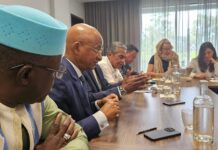 Élections à Madagascar : la mission dirigée par Cellou Dalein Diallo rend compte