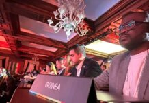 Lituanie : Fonikè Manguè intègre le bureau de world Liberty Congress