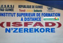 Restriction de l’internet en Guinée : la rentrée des étudiants de l’ISFAD de N’Zérékoré reportée pour faute d’internet