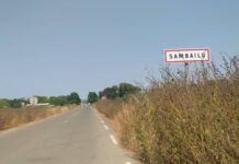 Sambaïlo : les gendarmes, la carte de vaccination, les 20 000 GNF et l’arnaque