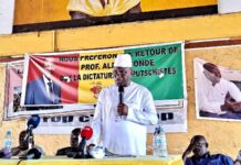 Délestage du courant électrique : le RPG donne les raisons et titille le CNRD