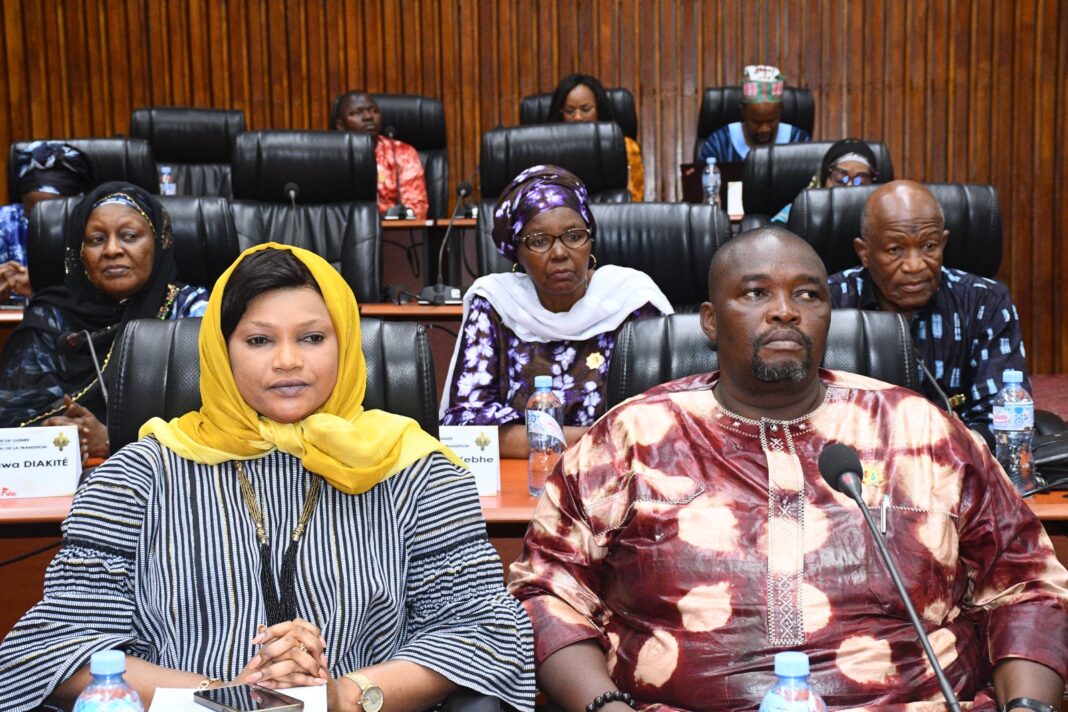 Projet de Loi de Finances 2024-CNT Guinée