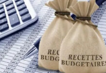 Guinée-PLF 2024 : Quand l’incendie de Kaloum menace les recettes budgétaires