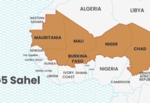 Le G5 Sahel : Le Burkina Faso et le Niger aussi quittent l’organisation