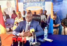 Coups d’Etats: Dr Faya Millimouno alerte sur le recul démocratique en Afrique