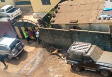 Tombolia: Un crime évité de justesse, deux passants épargnés