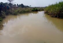 Drame à Kissidougou : Un jeune élève retrouvé noyé dans le fleuve Gbangban Fleuve Gbagban