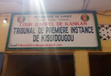 TPI-Kissidougou: Alphonse Béavogui, un infirmier d’État, accusé d’usurpation d’identité et d’atteinte à la vie