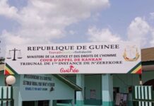 TPI- N’Zérékoré: progrès et projets ambitieux