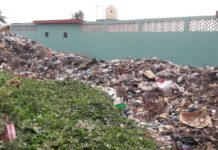 Kindia : l’environnement menacé par les populations