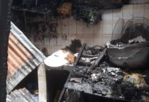 Incendie à Hafia : 5 personnes tuées par les flammes, des dégâts considérables