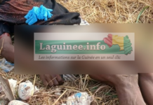 Kankan : un deuxième présumé braqueur abattu par les FDS !