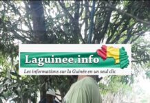 Kissidougou : Un jeune homme retrouvé pendu dans un cimetière, voici le message qu’il a laissé en arabe !