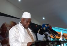 Rapatriement des Guinéens d’Allemagne : Conakry réclame une pause et annonce une commission d’enquête