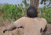 Fatoya-Siguiri: Pierre Millimouno, 44 ans se donne la mort par pendaison
