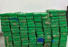 Trafic de drogue au Sénégal: Nouvelle saisie de 264 kg de cocaïne à Koumpentoum