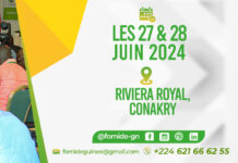 Forum des mines et du développement: Bientôt la 2è édition à Conakry(Communiqué)