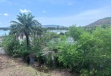 Le Groupe UMS accompagne le grand projet de réhabilitation des têtes de sources des barrages hydroélectriques de Garafiri, Donkéah, Banéah et les Grandes Chutes dans la préfecture de Kindia afin d’améliorer la desserte en courant dans le pays