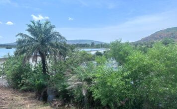 Le Groupe UMS accompagne le grand projet de réhabilitation des têtes de sources des barrages hydroélectriques de Garafiri, Donkéah, Banéah et les Grandes Chutes dans la préfecture de Kindia afin d’améliorer la desserte en courant dans le pays