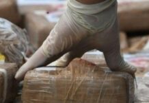 Trafic de drogue à Conakry : 10 ans de prison pour un passager arrêté avec 2,1 kg de cocaïne à l’aéroport