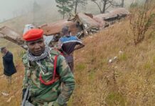 Crash d’avion au Malawi : le vice-président et neuf autres tués