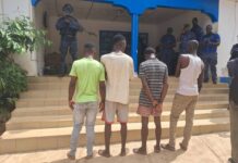Coyah : quatre présumés bandits présentés à la presse