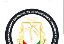 Recrutement de 250 Enseignants-Chercheurs pour les Institutions d’Enseignement Supérieur Publiques Guinéennes