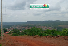 Koubia : le sous-préfet de Fafaya perd la vie dans un accident de la circulation