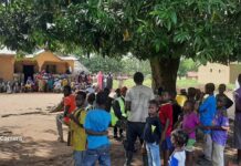 Kissidougou: un citoyen chute d’un palmier et meurt
