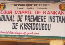 Kissidougou-Justice : Audiences Criminelles, 8 dossiers traités en moins de 2 semaines