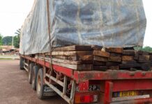 Kissidougou : saisie d’un camion transportant une quantité importante de bois