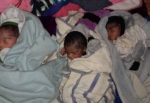 Kissidougou: Nouvelle naissance de triplés à Gbarando