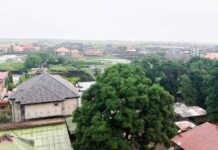 La Guinée enchaînée par ses propres fils!