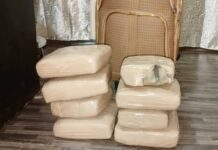 Kissidougou : saisie d’une importante quantité de chanvre indien