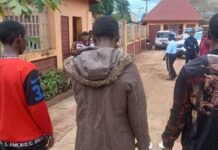 Opération à Kindia : 5 présumés voleurs de motos arrêtés, une importante quantité drogue Saisie