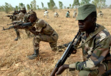 Lutte contre le terrorisme : les forces armées du Niger et du Nigeria unissent leurs forces