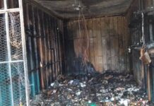 Incendie à Kipé: un investissement de 30 millions parti en fumé, Amadou Oury sous le choc !