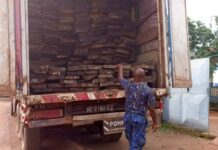 Kissidougou : nouvelle saisie nocturne d’un camion chargé de bois en provenance de Yendè