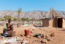 Lutte contre la sécheresse : la Namibie annonce l’abattage de 723 animaux dont 83 éléphants