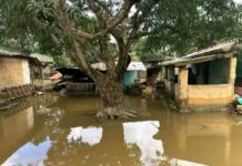 Inondations à Guéckédou : Plus de 11 000 personnes affectées, les secours en continuent
