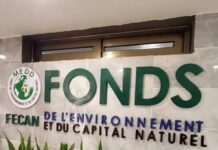 CRIEF : Où sommes-nous avec l’enquête du détournement de 14 939 008 770 GNF au Fonds de l’Environnement et du Capital Naturel (FECAN) ?
