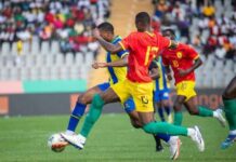 Le Syli national s’effondre encore : deuxième défaite en éliminatoires de la CAN 2025
