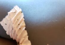 Bouré-Kintigna : Un garçon de 7 ans victime d’abus sexuel par un inconnu