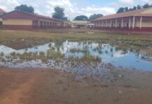 Rentrée Scolaire 2024-2025 : Constat dans certains établissements publics de Kankan